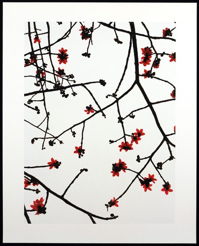 Kapok hong kong inkjet - "kapok,,