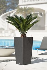 Lechuza blumentopf - lechuza,