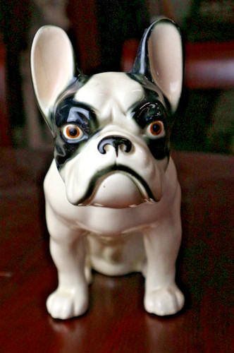 Französische bulldogge - französische,