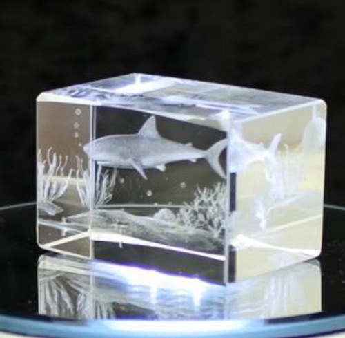Glas hai neu made in - 3d,