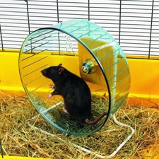 Nobby Hamsterrolle Rolly Giant