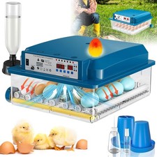 Inkubator Automatische