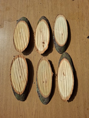 Baumscheiben stück oval - stück,