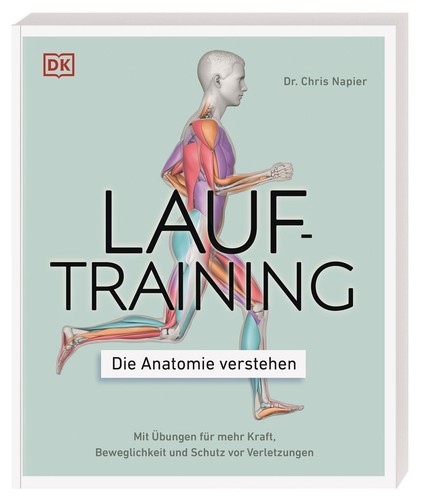 Lauftraining die anatomie - lauftraining,