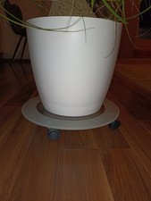 Pflanzenroller Blumenroller