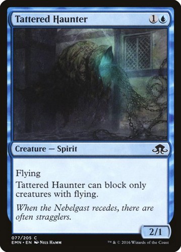 Tattered haunter - tattered,