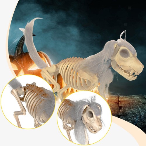 Halloween-Hundeskelett-Dekorat