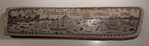 Scrimshaw replik - ++, scrimshaw-replik