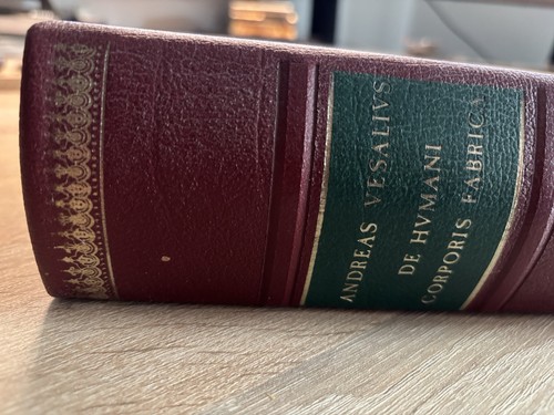 Andreas vesalivs bruxellensis - andreas,