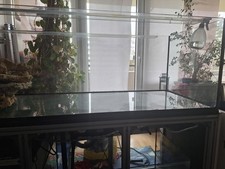 aquarium becken raumteilr weißglas 160x 60 x 50