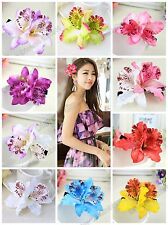 Doppel Orchidee Haarblume