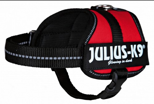 Geschirr powergeschirr julius - geschirr,