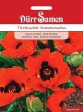 Dürr Samen Papaver orientale