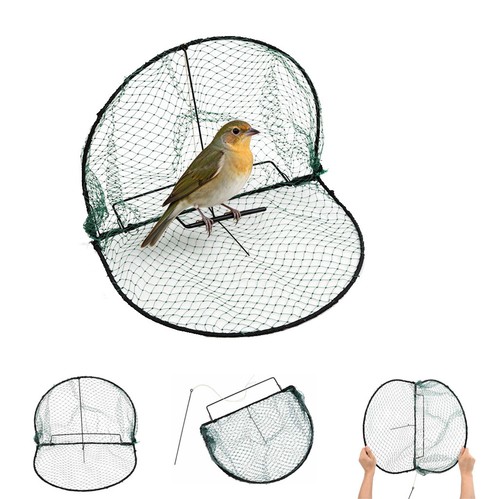 Vogelfalle grün stahl - grün,