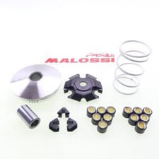 Variomatik Malossi Multivar