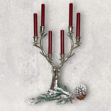 Glänzender Hirsch Hirschkopf