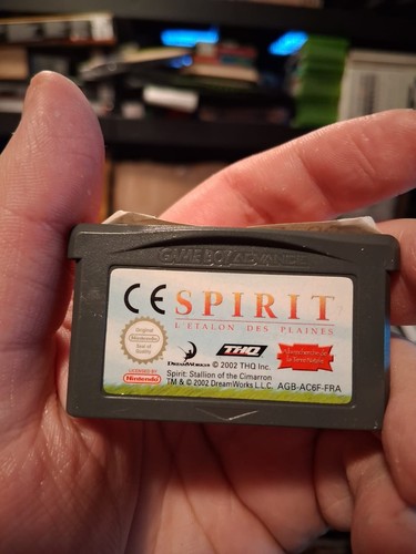Spirit der wilde - der, mustang