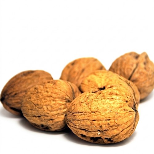 Premium walnuss beste - walnuss,
