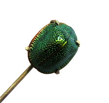 RAR! Jugendstil Skarabäus Brosche/ Anstecknadel - Egyptian Revival - Etui - grün