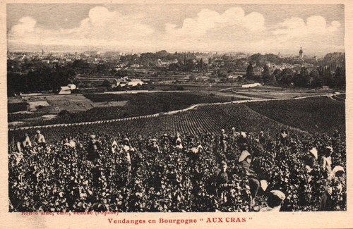 Cpa weinbau - 21,