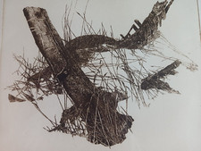 Walter Herzog geb. 1936