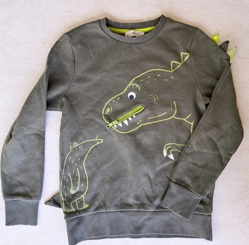 Dinosaurier hoodie mit - dinosaurier,