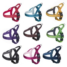 PRENO Hundegeschirr gepolstert Norweger Geschirr Tourengeschirr Brustgeschirr