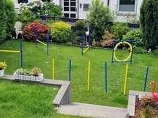 Agility Hunde Set 6 Stück Ringe, Stäbe undd Hürden