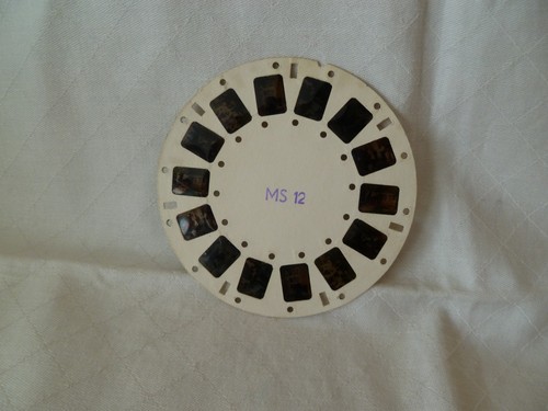 Runde bildkarte der wolf - ms,