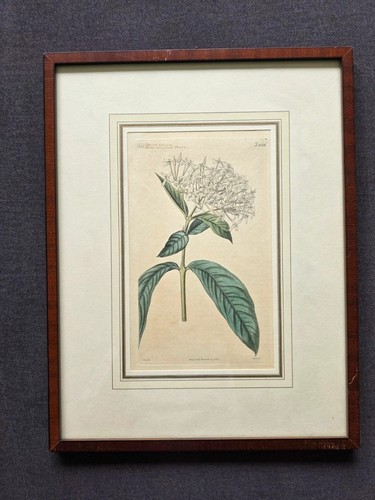 Original kupferstich mit - original-kupferstich,