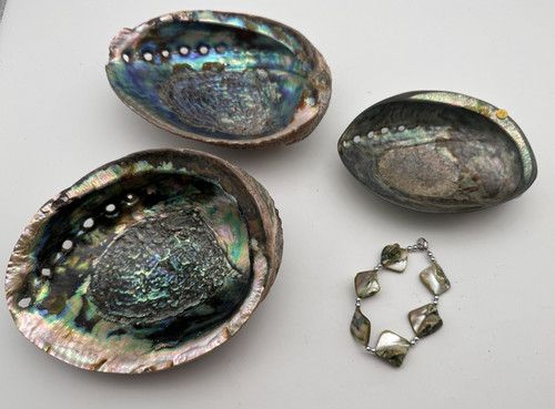 Set abalone seeohr - set,