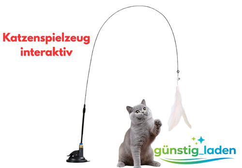Katzenspielzeug interaktiv