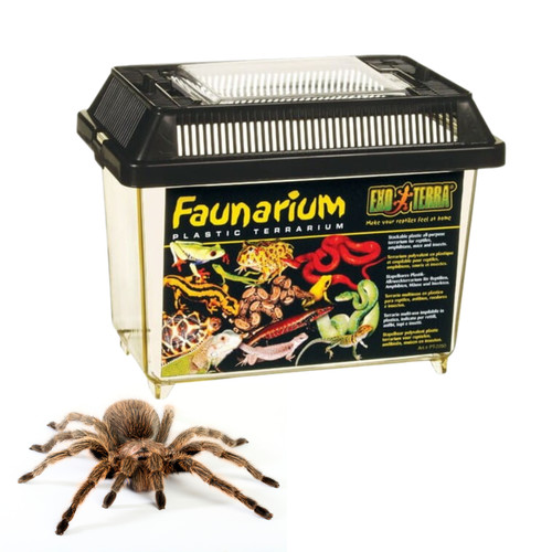 Exo terra faunarium mini - 18, x
