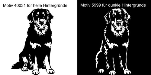 Hovawart aufkleber - hovawart,