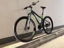 TOP-Zutand✅ BULLS Sharptail