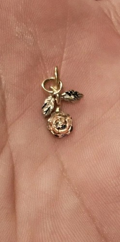 Tri color gold rose - tri,