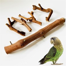 Vogelsitzstange holz - vogelsitzstange,