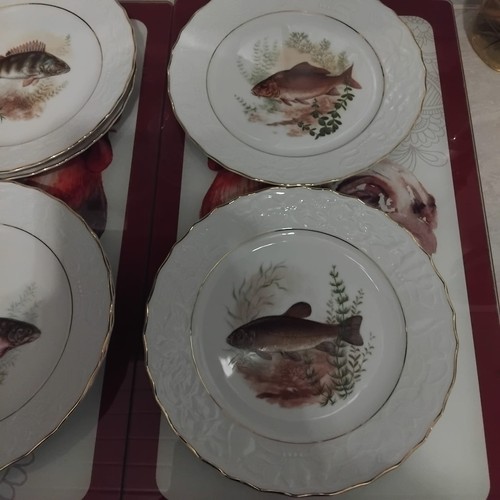 Teller mit fischdekor - x,