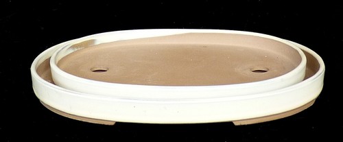Bonsai bonsaischale creme - bonsai,