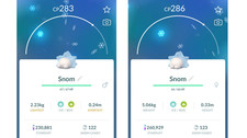 🐛Non Shiny Snom (Nicht Schillernd Snomnom) Pokemon GO🐛 Exchange or PTC