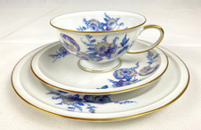 Sammeltasse 3 tlg.  Gedeck Rosenthal Winifred blaue Blume 1935 TOP