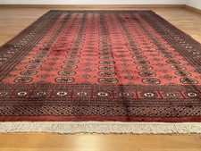 6282 Schöner handgeknüpfter Buchara 310x220 Orientteppich Carpet Tappeto Rug