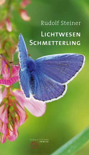 Lichtwesen schmetterling - lichtwesen,