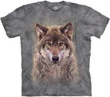 The Mountain T-Shirt Grey Wolf