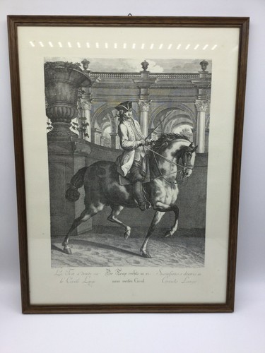 Radierung von johann elias - von,