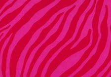 Klebefolie - Möbelfolie Zebra