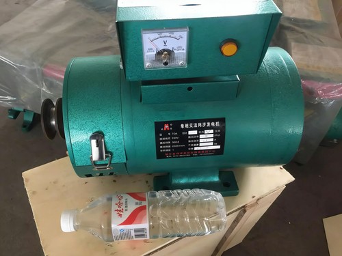 220v 3kw bürstenloser - 220v,