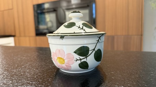Villeroy boch wildrose dose - &,