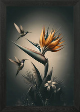 Paradiesvögel Gerahmtes