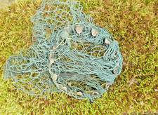 Alter Obstpflücker Bauer